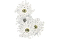 Givenchy Daisy Pendant Ear Craler White